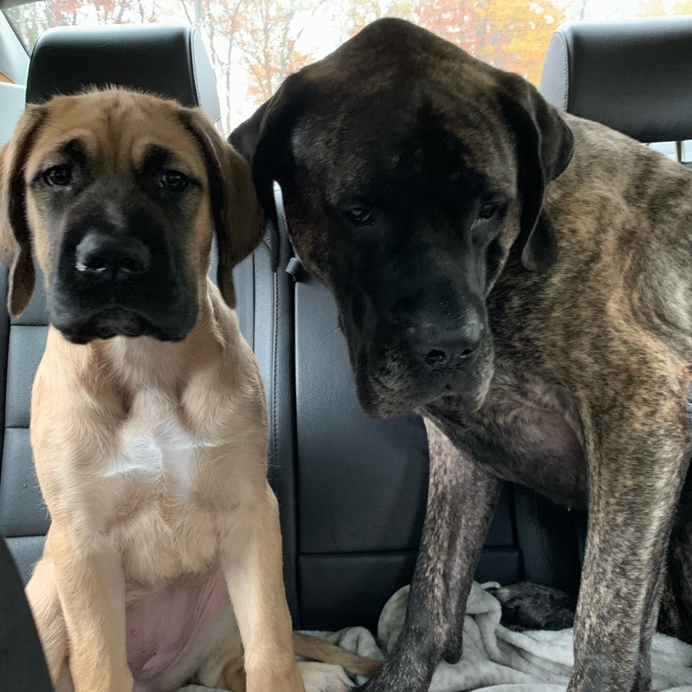 Meet your Posher, Natalie